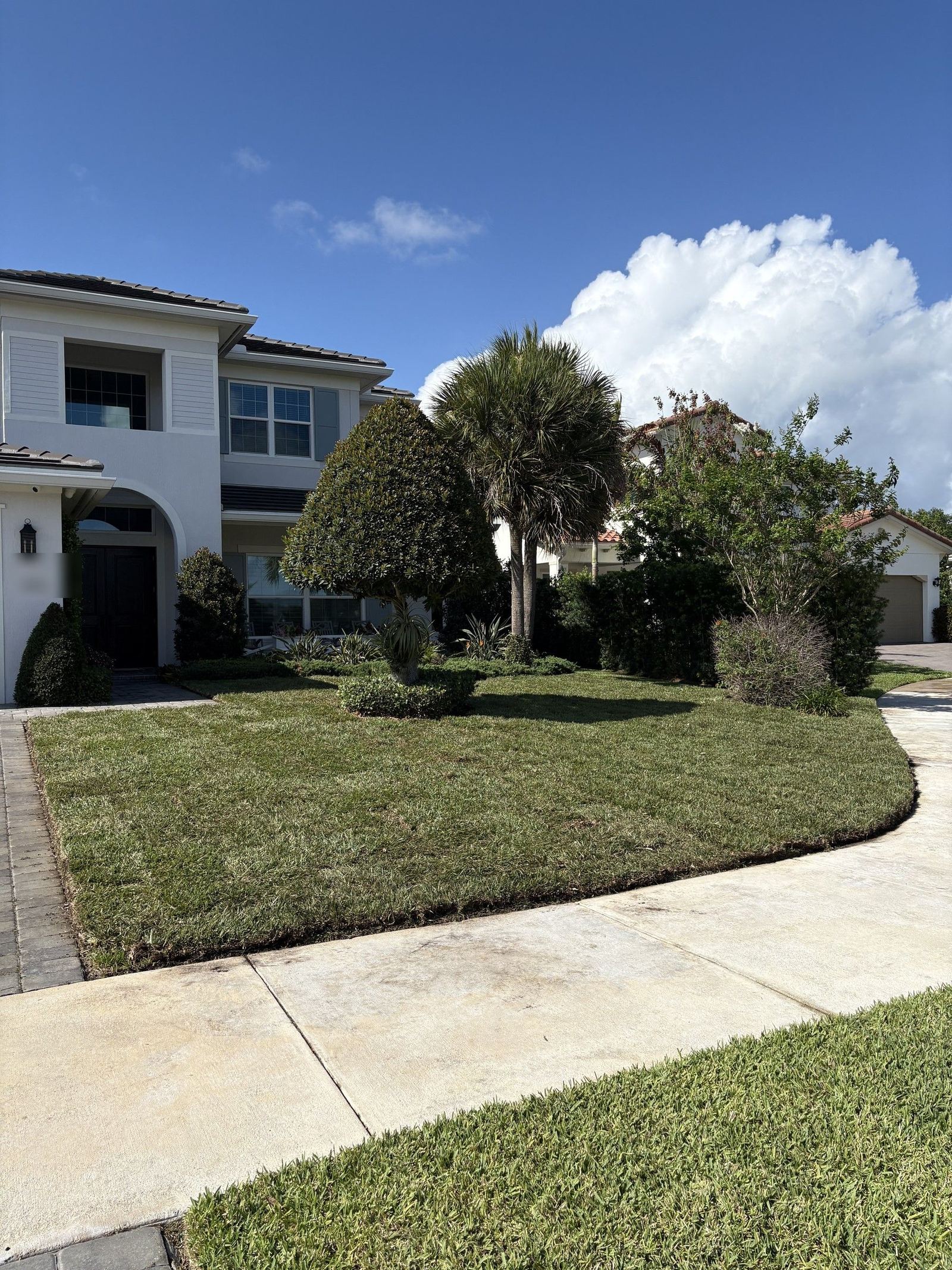 After: modern white two-story house with freshly manicured lawn, palm tree, and tropical landscaping under blue sky.
